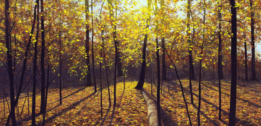 Autumn in the Woods Oil Open Edition Print