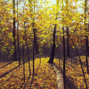 Autumn in the Woods Oil Open Edition Print