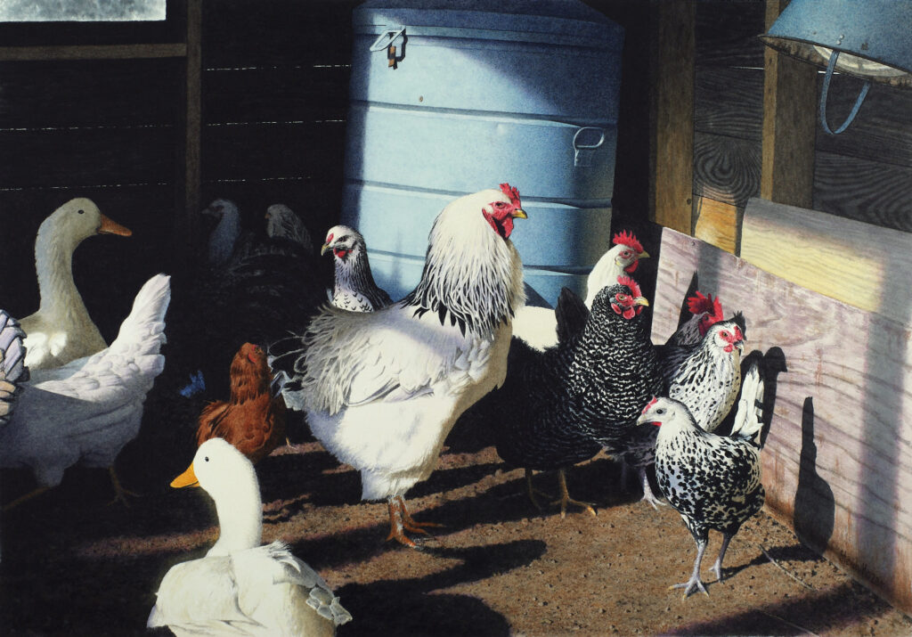 "Hen House Morning" Watercolor Open Edition Print