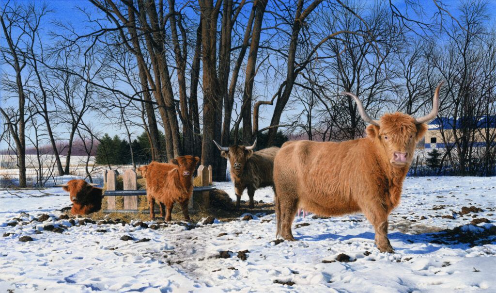 "Highland Cattle in Winter" Watercolor Open Edition Print